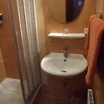 棕榈花园宾馆