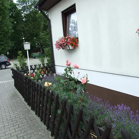 Guest house Gaestehaus Palmengarten