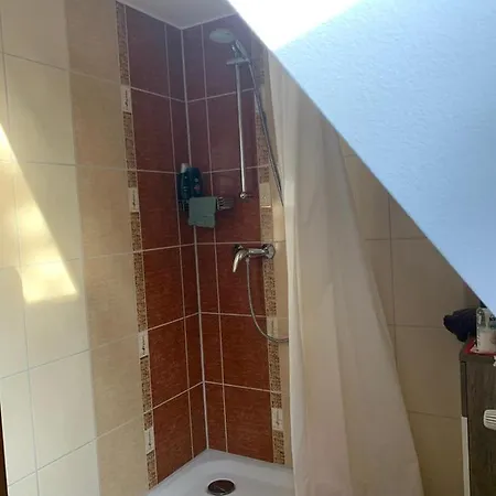 Gaestehaus Palmengarten Guest house 3*